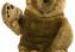 Bild des Benutzers newman